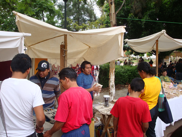 tianguis alternativo el pochote de xochimilco