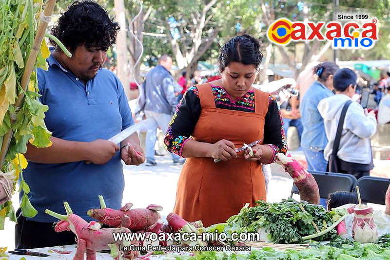 La Roche de Rábanos en Oaxaca