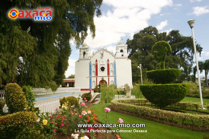 Arbol del Tule Oaxaca