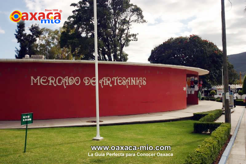 Arbol del Tule Oaxaca