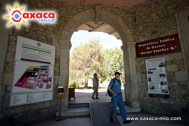 jardin etnobotanico Oaxaca