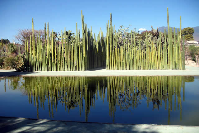 Jardín Labastida Oaxaca