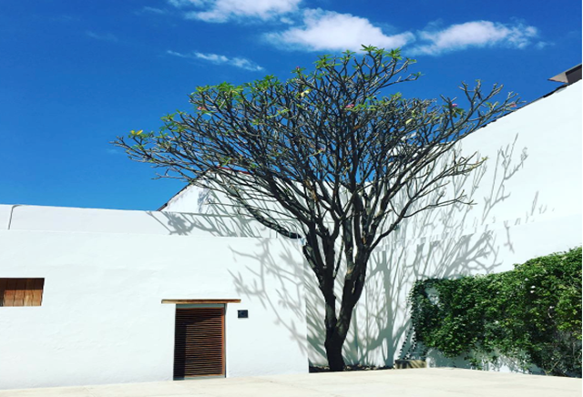 museo de filatelia de oaxaca (mufi)