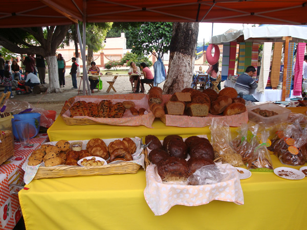 tianguis alternativo el pochote de xochimilco