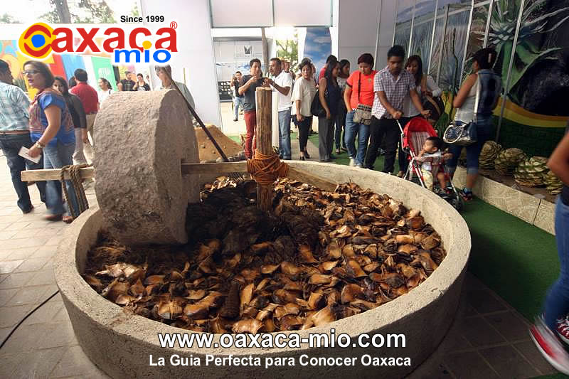 Feria del Mezcal en Oaxaca