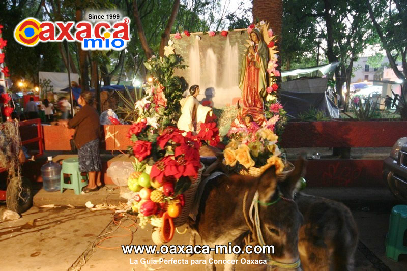 Fiesta patronal de la Virgen de Guadalupe en Oaxaca